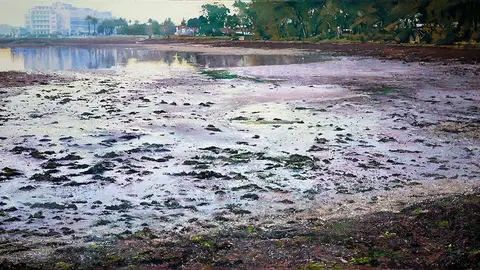 La pintura ganadora 'Amanecer en la Toja'