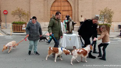 San Ant&oacute;n 2024 en Murchante 4