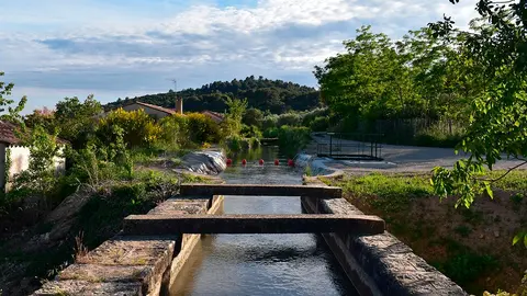 riegos regantes campo templadera regad&iacute;o 4