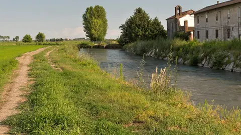 riegos regantes campo templadera regad&iacute;o 6