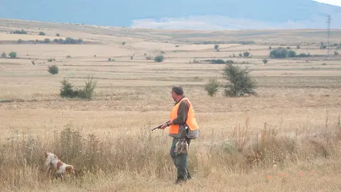 El aficionado a la codorniz disfruta de su perro y del campo en verano