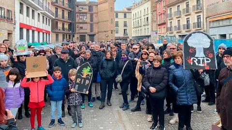 Funeral por los &aacute;rboles del muro en Tudela 1