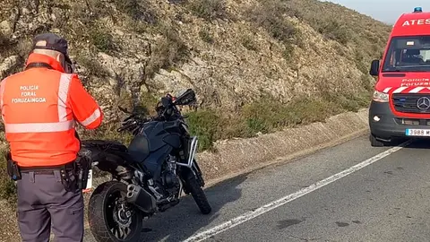 La carretera NA 115 ha quedado cortada al tr&aacute;fico