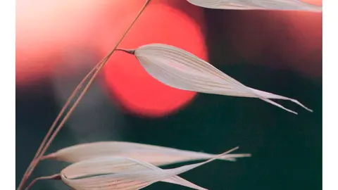 Exposici&oacute;n de fotograf&iacute;a en Tauste &lsquo;Alas de la tierra&rsquo; de Ana Serrano Tierz