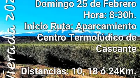 VI Quedada senderista &lsquo;Cascante, un mar de olivos&rsquo; 2024 en Cascante