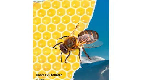 Presentaci&oacute;n en Tudela del libro &lsquo;El colapso de la colmena&rsquo; de Julia Jim&eacute;nez Carrera