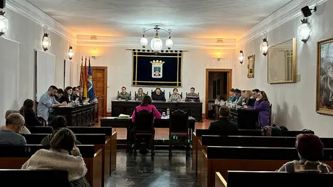 Pleno ordinario en el Ayuntamiento de Tarazona