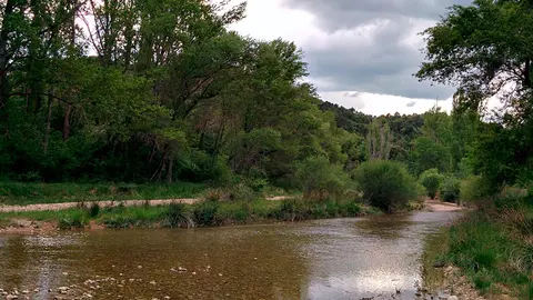 La situaci&oacute;n en Biel con el r&iacute;o Arba destaca la urgencia de proteger la calidad del agua y garantizar el acceso a agua potable segura