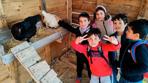 Los alumnos del CPEIP Griseras durante su visita al instituto Valle del Ebro