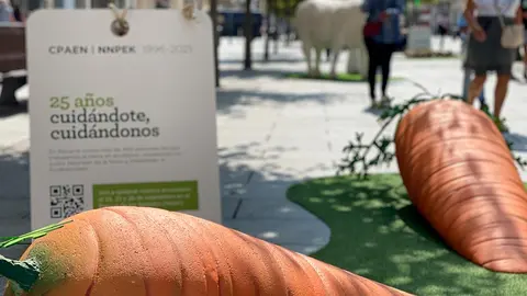 La exposici&oacute;n &lsquo;Crece en ecol&oacute;gico&rsquo; muestra la gran diversidad de la producci&oacute;n ecol&oacute;gica de Navarra