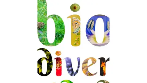 Exposici&oacute;n de fotograf&iacute;as en Corella &lsquo;1 km de Biodiversidad&rsquo; de Eduardo Blanco Mendizabal
