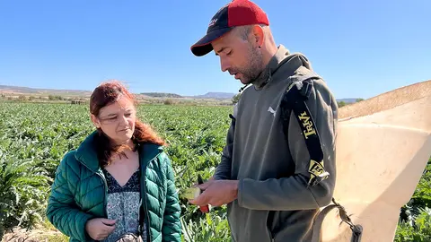 D&iacute;a de la alcachofa y el esp&aacute;rrago de Cabanillas 2 