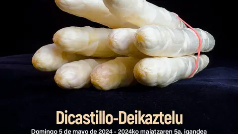 Feria del esp&aacute;rrago 2024 en Dicastillo