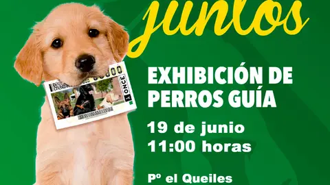 Exhibici&oacute;n en Tudela de perros gu&iacute;a