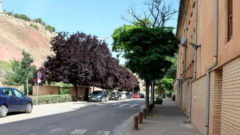La empresa Ingenier&iacute;a CINTEC S.L se encargar&aacute; de redactar el proyecto y, en su caso, la direcci&oacute;n de obra, por importe de unos 18.000 euros