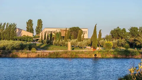 Almazara ecol&oacute;gica de Artajo