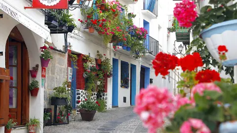 Pe&ntilde;&iacute;scola