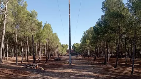 Santa Quiteria