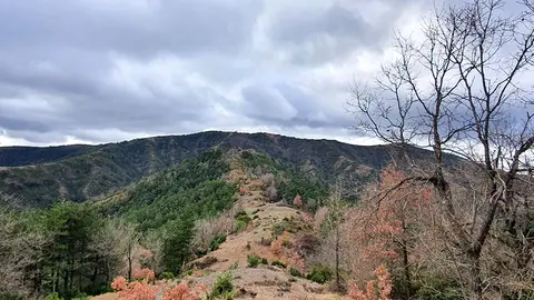 Imagen de la Sierra de Santo Domingo, uno de los espacios medioambientales m&aacute;s destacados de la Comarca de Cinco Villas