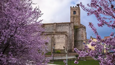 Iglesia Sta. Mar&iacute;a la Mayor