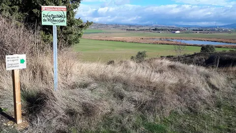 Mirador de la Laguna de El Juncal