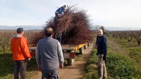 Preparativos de San Ant&oacute;n en Rinc&oacute;n de Soto 2