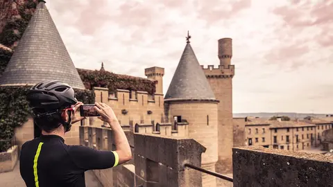 El Castillo de Olite