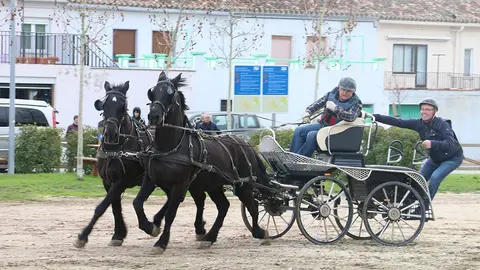 Ferias de Febrero 2024 en Tafalla 4