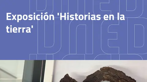 Exposici&oacute;n en Tudela &lsquo;Historias en la tierra&rsquo; sobre arqueolog&iacute;a de Cascantum