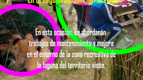 Jornada de voluntariado en Marcilla &lsquo;Mantenimiento en la Laguna del Territorio Vis&oacute;n&rsquo;