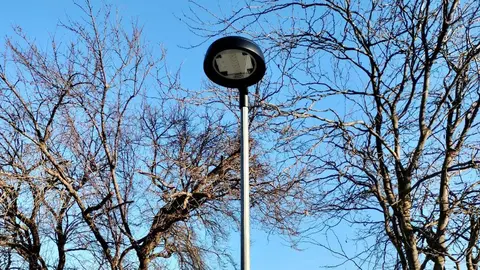 Renovaci&oacute;n de la luminaria en el Paseo de Ronda de Cadreita