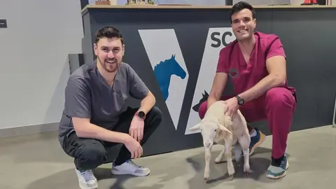 Servicios Veterinarios Chueca 8