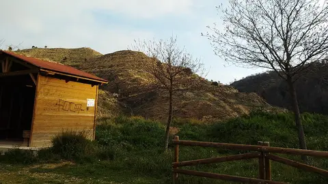 Finalizaci&oacute;n de las actuaciones forestales en Valtierra 2