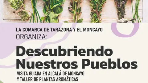 Visita guiada y taller de plantas arom&aacute;ticas en Alcal&aacute; de Moncayo &lsquo;Descubriendo Nuestros Pueblos&rsquo;