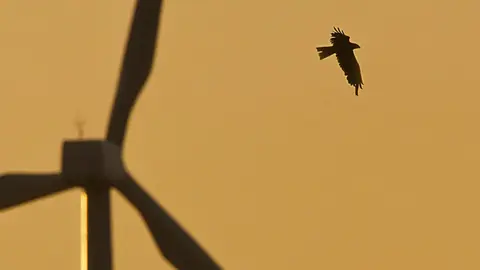 El galard&oacute;n se entregar&aacute; el viernes 23 de mayo, en un acto que incluir&aacute; una charla impartida por los premiados titulada &lsquo;Guardianes de la Biodiversidad&rsquo;