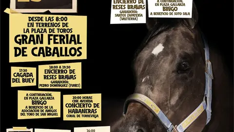 Ferias de Rinc&oacute;n de Soto 2025