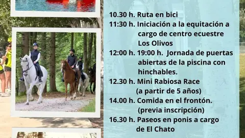 D&iacute;a del Deporte en Marcilla 2025