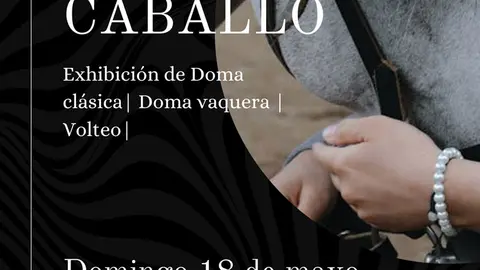Exhibici&oacute;n de doma en Marcilla &lsquo;El Arte de los Caballos&rsquo;