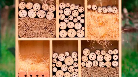 Taller en Lezaun &lsquo;Hoteles de Insectos&rsquo; 1