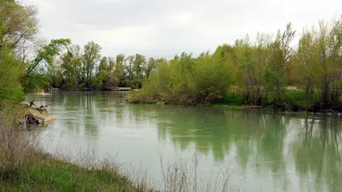 D&iacute;a del Medioambiente en Marcilla 2025