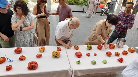 Fin de semana del Tomate Feo de Tudela 2025 Actos del domingo 3
