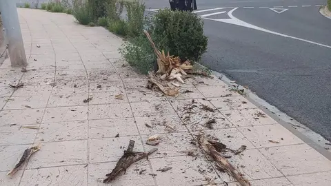 Accidente con da&ntilde;os en Carretera Alfaro 