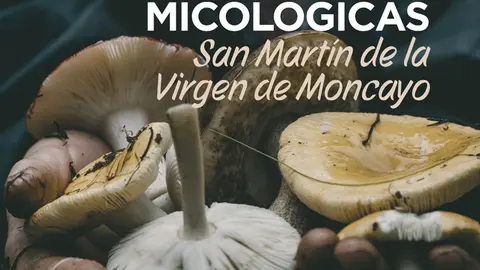 XXI Jornadas Micol&oacute;gicas de San Mart&iacute;n de la Virgen de Moncayo 2025