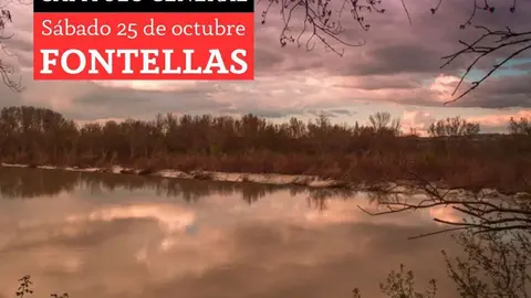 XXIII Cap&iacute;tulo General de la Cofrad&iacute;a del Aceite de Oliva de Navarra en Fontellas 2025