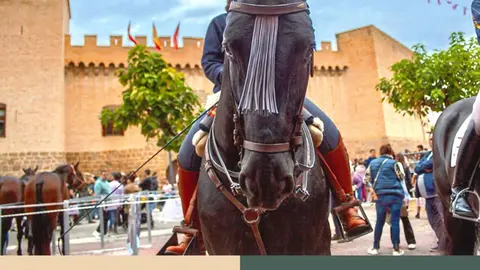 XI Concurso de Fotograf&iacute;a de la Feria del Caballo de Marcilla 2025