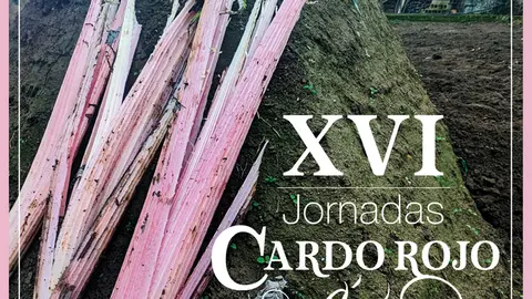 XVI Jornadas del Cardo Rojo en &Aacute;greda 2025