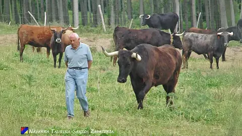 Este filme relata la relaci&oacute;n &uacute;nica entre Jos&eacute; Luis, vecino de Cadreita y el toro Capit&aacute;n, de la ganader&iacute;a de Santos&nbsp;Zapater&iacute;a de Valtierra