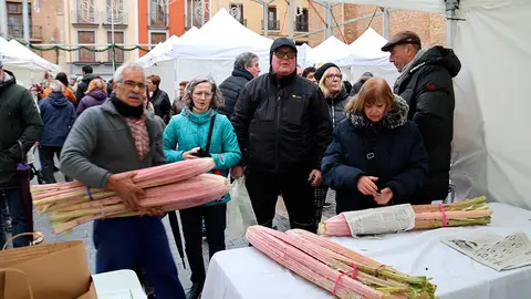 XVII Jornadas del Cardo Rojo de Corella 2025 37