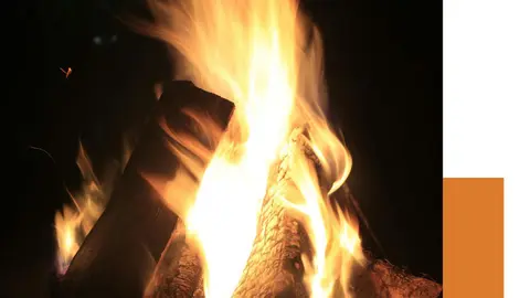 Programa de las Fiestas de San Ant&oacute;n en Castej&oacute;n 2026