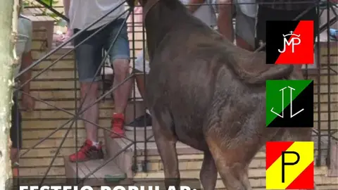 Programa de las Fiestas de San Babil en Caparroso 2026 festejos populares